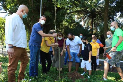 grupo de pessoas planta muda de árvore. #paratodosverem