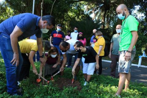 grupo de pessoas planta muda de árvore. #paratodosverem