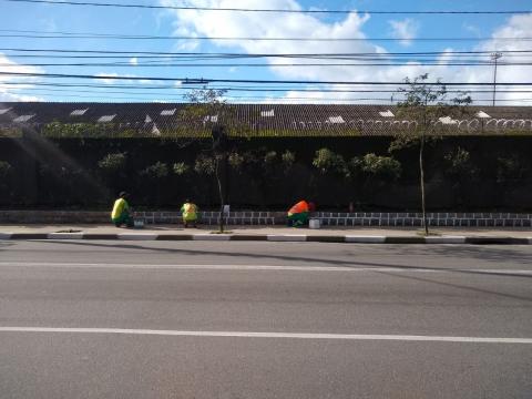 Três homens pintam jardineira à frente de uma vegetação. #paratodosverem