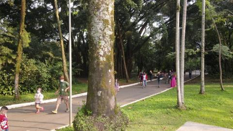 visitantes caminham em área calçada do parque, com vegetação ao lado. Em primeiro plano, o tronco de uma grande árvore.#paratodosverem