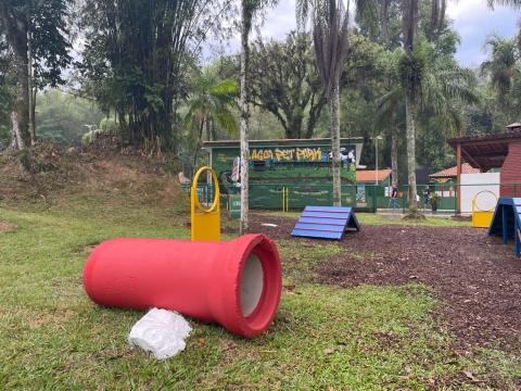 Equipamentos para os cães se exercitaram no parque #paratodosverem