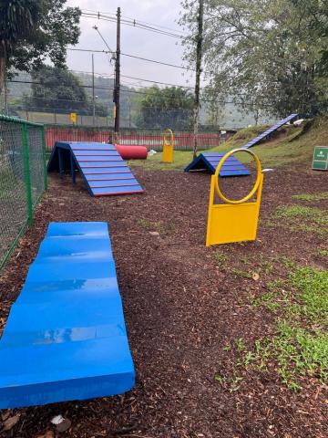 Equipamentos para os cães se exercitaram no parque #paratodosverem