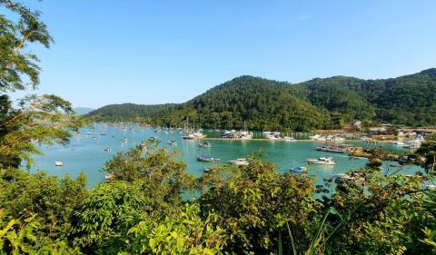 vista geral de praia, com vegetação em primeiro plano, barcos e morro ao fundo. #paratodosverem