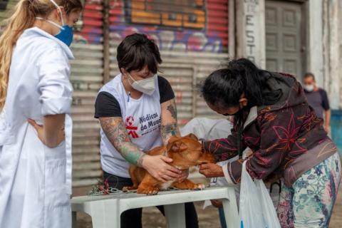 Profissionais atendem cachorro, acompanhado pela sua dona. #pracegover 