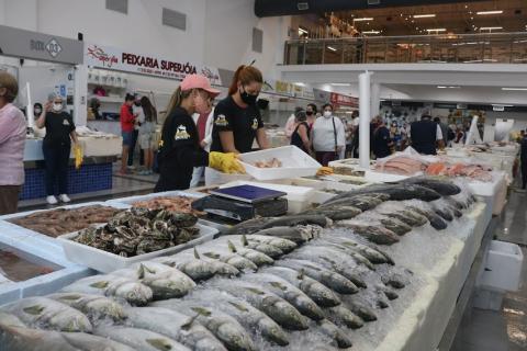 boxes do mercado de peixes. #paratodosverem