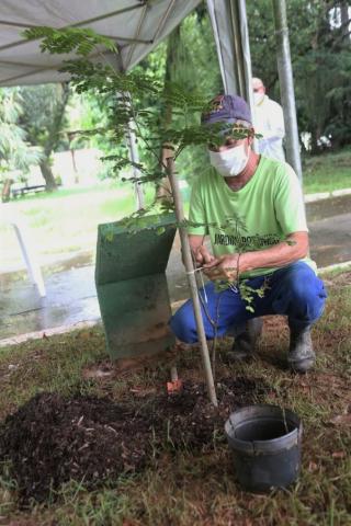 a muda de árvore com um jardineiro. #paratodosverem