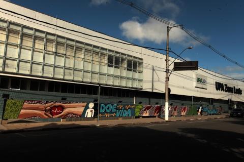 vista geral do grafite em muro com desenhos e dizeres. #paratodosverem