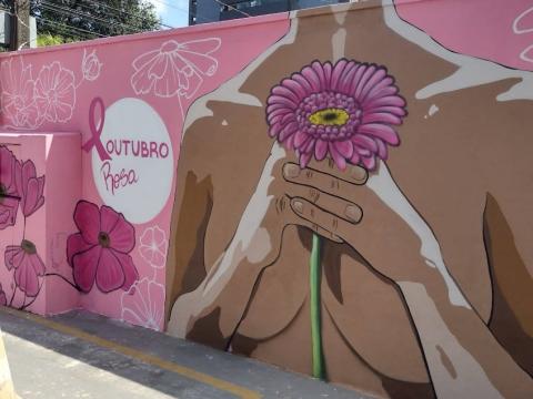 Pintura alusiva ao Outubro Rosa, como corpo de mulher segurando uma flor. #paratodosverem