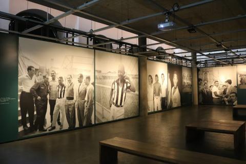 Painéis grandes com fotos de Pelé #paratodosverem