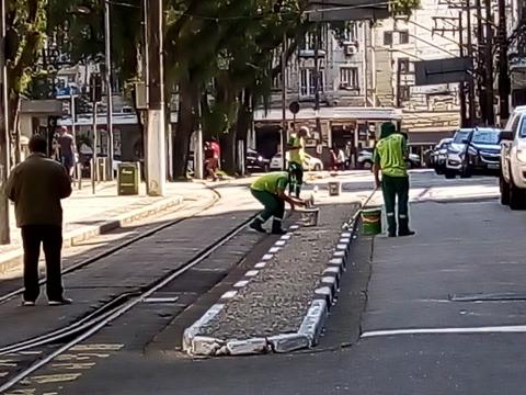 pintura de guia em canteiro. #paratodosverem