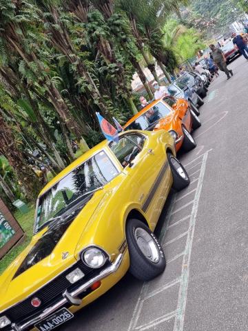 carros antigos enfileirados para exposição. #paratodosverem