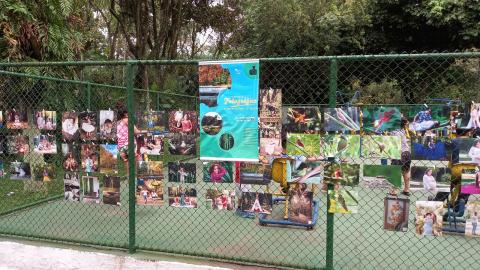 Exposição de fotos dentro de quadra com alambrado. #paratodosverem