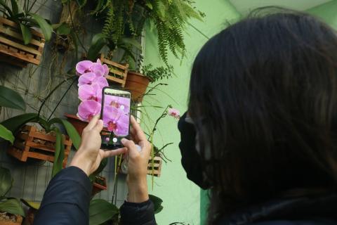 mulher fotografa orquídea com celular. A orquídea aparece duas vezes. Em painel ao fundo e na tela do celular. #paratodosverem