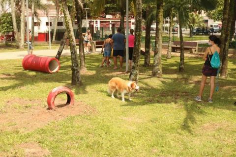 cão circula por jardim com peças para diversão. Há pessoas no ambiente. #paratodosverem