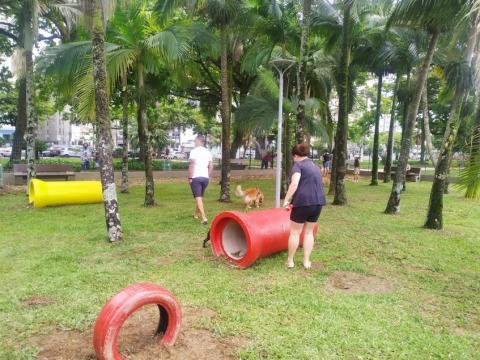 Peças para exercício e diversão de cães dispostas em um gramados em meio a palmeiras. Há pessoas circulando. #paratodosverem