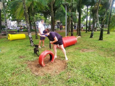 tutora incentiva cão a brincar com as peças no jardim. #paratodosverem