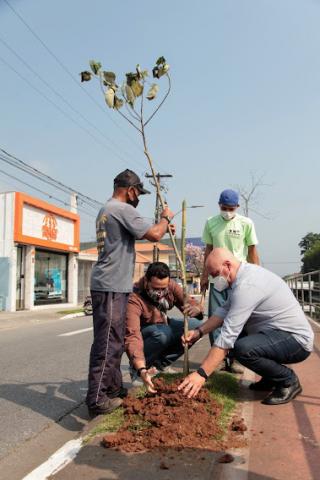 Pessoas plantam muda de árvore #paratodosverem