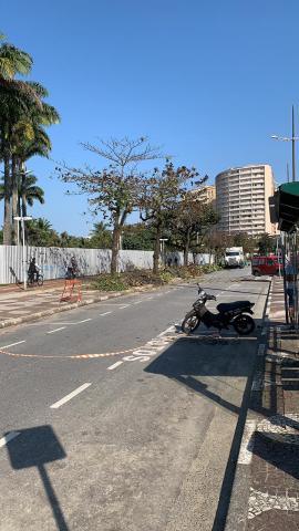 Avenida da praia e ao fundo uma árvore podada. #paratodosverem