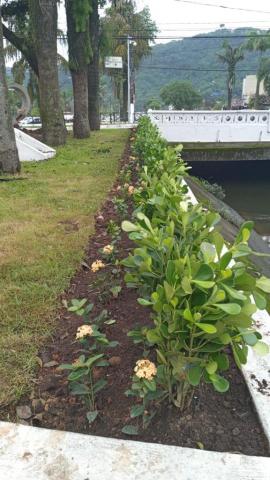 canteiro com flores junto à margem de canal. #paratodosverem