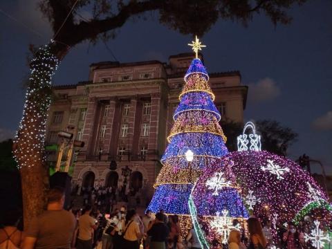 Grande árvore de natal iluminada com a Prefeitura ao fundo. #paratodosverem