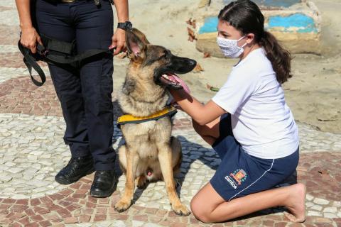 criança afaga cão que está preso ao lado de guarda municipal. #paratodosverem