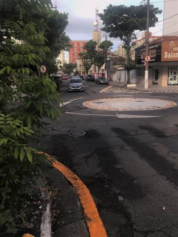 Rotatória ao fundo, com rua e árvores em primeiro plano. #Paratodosverem