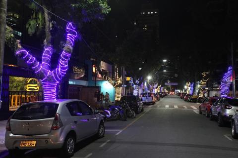 vista geral da rua com árvores naturais decoradas com cordões de luzes nos troncos. #paratodosverem