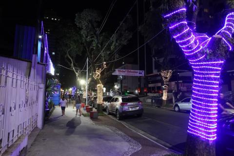 tronco de árvore em primeiro plano decorado com cordão luminoso alusivo ao natal. #paratodosverem