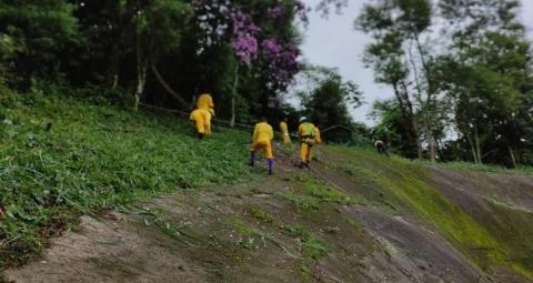 trabalhadores em encosta do morro realizam limpeza #paratodosverem