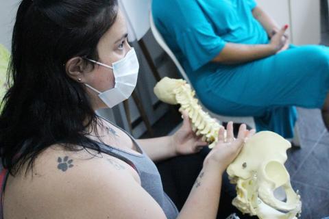Mulher manuseia protótipo de um esqueleto humano #paratodosverem