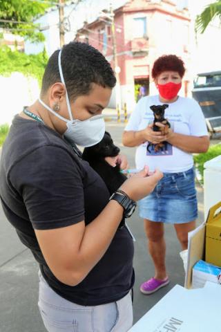 mulher vacina cachorro em seus braços #paratodosverem