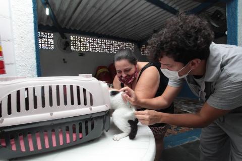 gato é vacinado #paratodosverem 