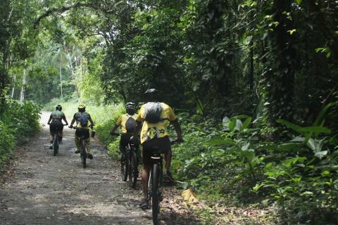 ciclistas percorrem trilha sem asfalto rodeada de vegetação. #paratodosverem