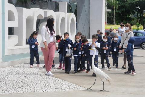 na saída do mercado, crianças estão diante de garça que anda pela calçada. #paratodosverem