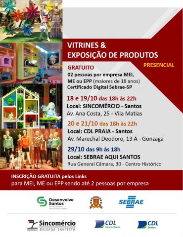 cartaz do curso com ilustração de vitrines e informações sobre as aulas. #paratodosverem