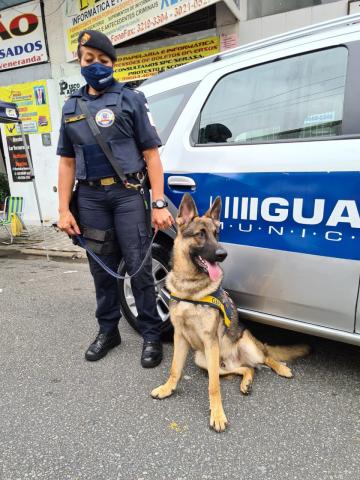 guarda municipal segura cão diante de viatura. #paratodosverem