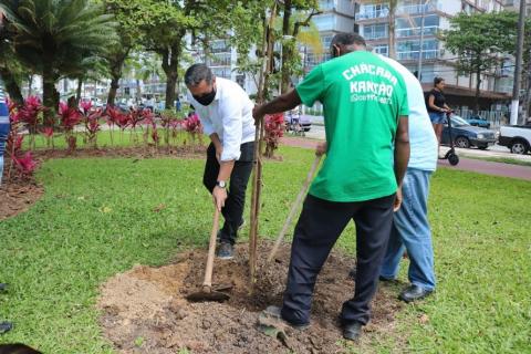 homens plantando árvore no jardim da orla #paratodosverem