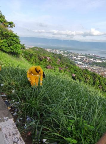 homem realiza limpeza em área de mata na encosta do morro #paratodosverem