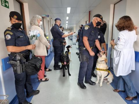 guardas com cachorros em corredor de hospital #paratodosverem