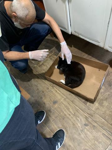 fiscal analisa ralo #paratodosverem