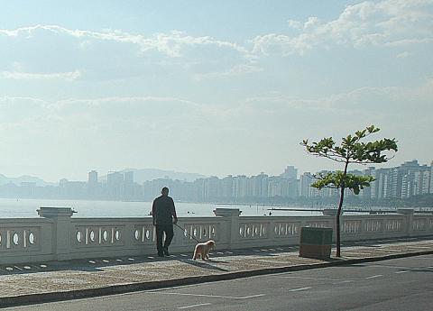 rapaz passeia com cachorro #paratodosverem 