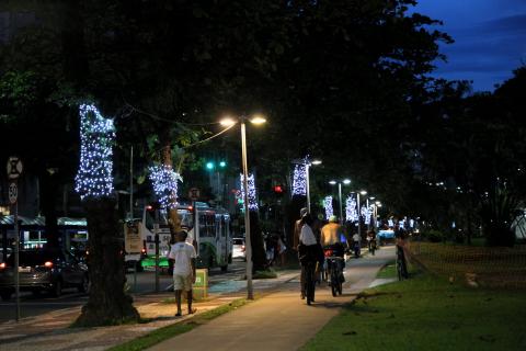 árvores com cordões iluminados #paratodosverem