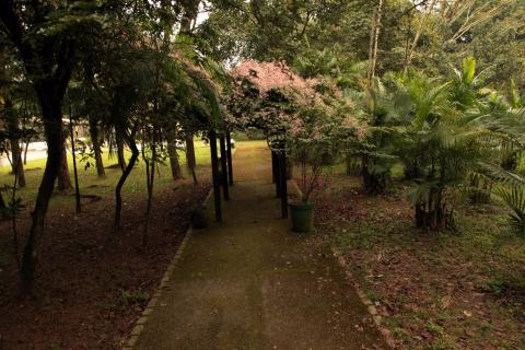Alameda com vegetação no Jardim Botânico Chico Mendes. #Pracegover