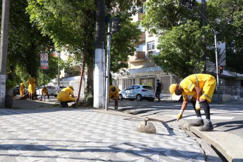 operários capinam em rua e calçada #paratodosverem