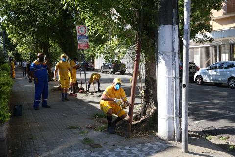 operários capinam em rua e calçada #paratodosverem