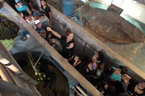 Crianças visitam parte interna do parque, com acesso aos tanques. #Pracegover