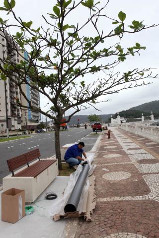 operário trabalha ao lado de árvore já plantada  #pracegover 