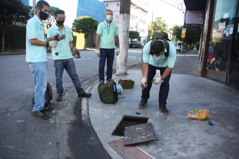 equipes colocam venenos de rato #paratodosverem 