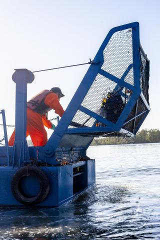 barco com pás levantadas #paratodosverem