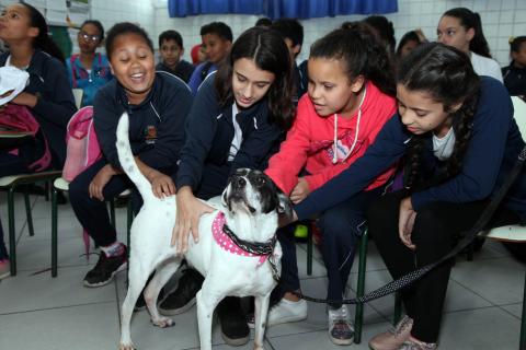 alunos fazem carinho em cachorro na sala de aula #pracegover 